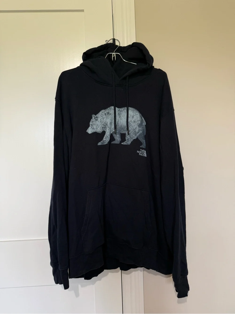 The North Face Men's XXL Evolution Bear Graphic Hoodie Navy Blue